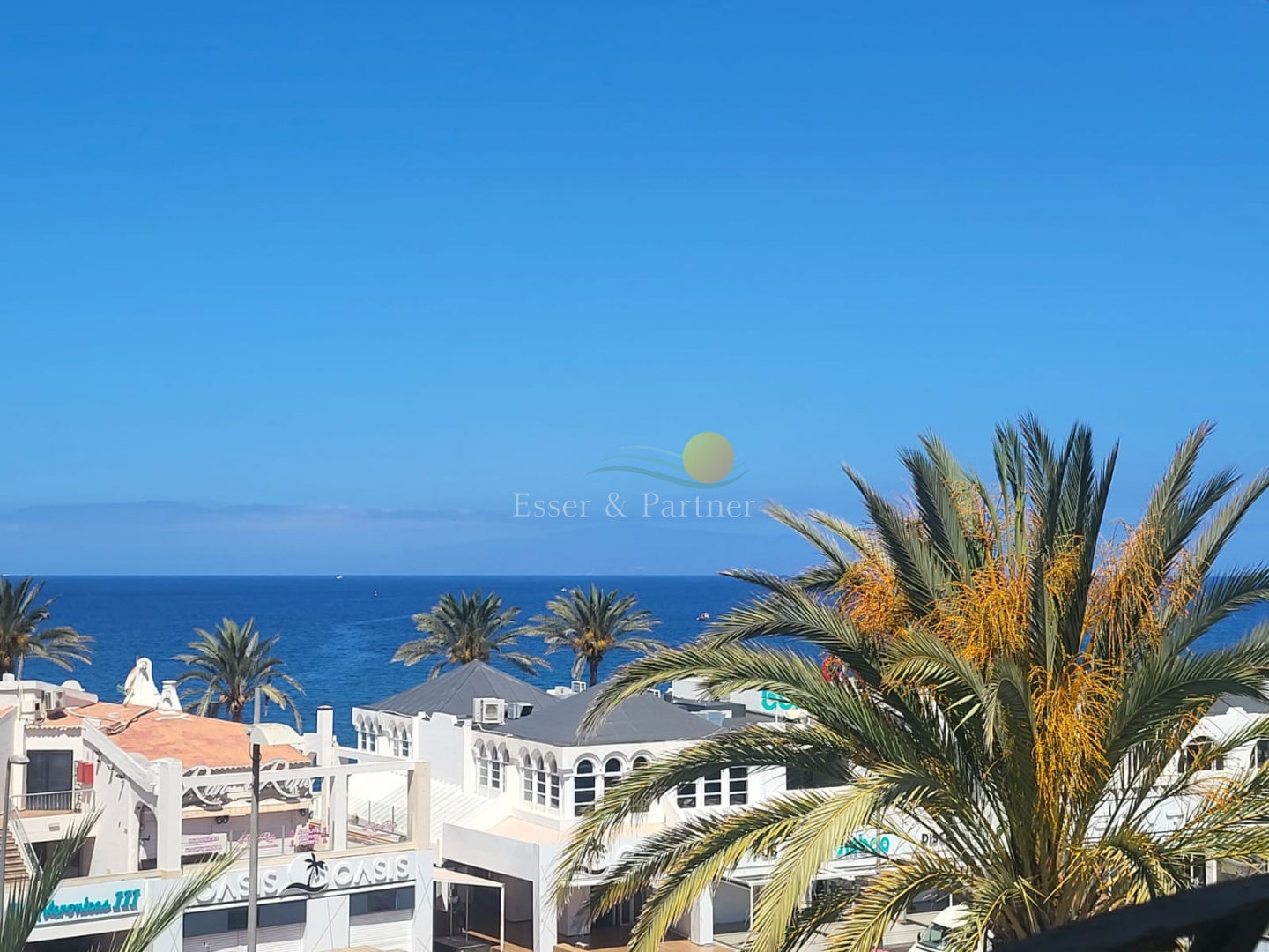 Commercial Property Las Tortugas Playa de las Américas