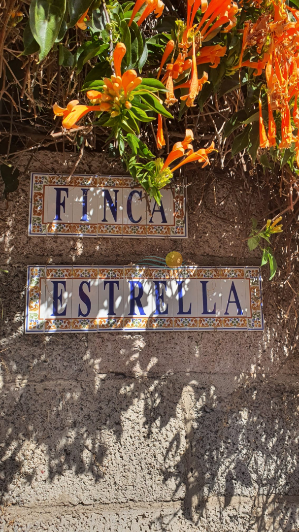 Detached house with large plot of land in Granadilla de Abona for sale