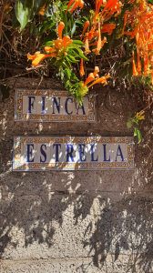 Detached house with large plot of land in Granadilla de Abona for sale